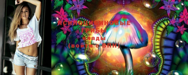 ГАЛЛЮЦИНОГЕННЫЕ ГРИБЫ Горно-Алтайск