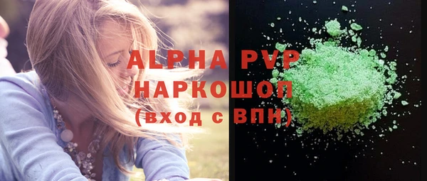 прущие грибы Дмитровск